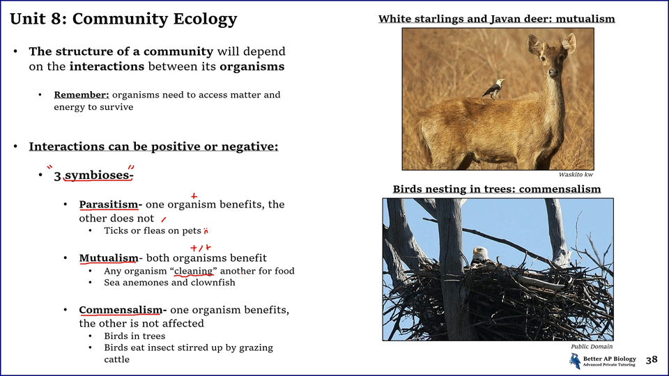 L4- Community Ecology
